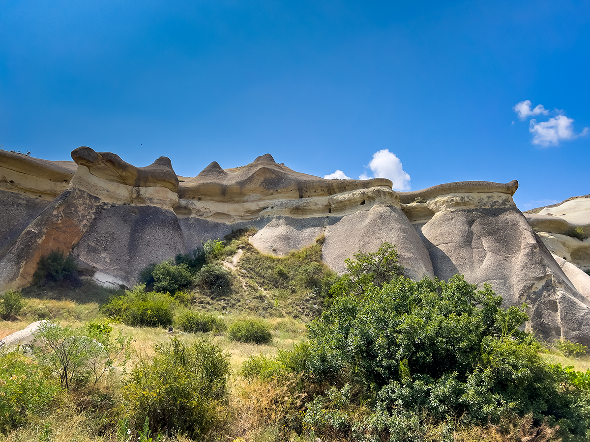 Cappadocia Pasabag Monks Valley, Turkey