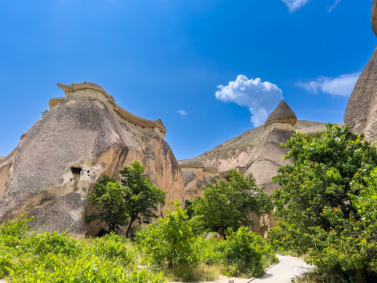 Cappadocia Pasabag Monks Valley, Turkey